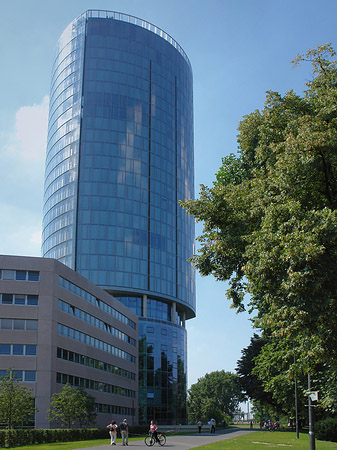 Triangelturm hinter Baum