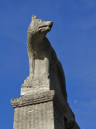 Fotos Wolfsstatue am Stadtmuseum | Köln