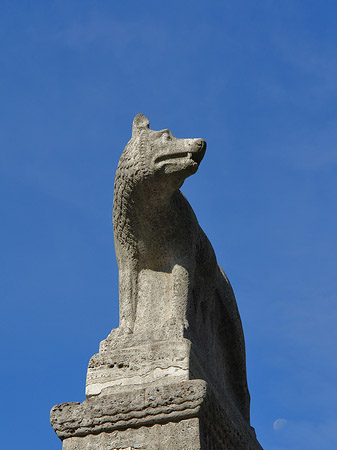 Fotos Wolfsstatue am Stadtmuseum