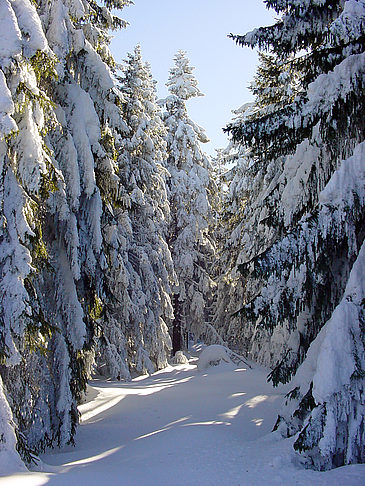 Brockenwanderung