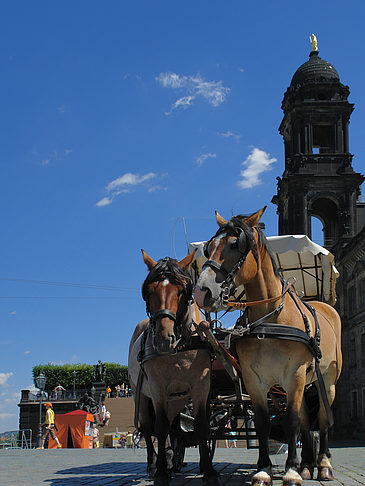 Foto Pferdekutsche - Dresden