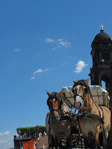 Foto Pferdekutsche - Dresden