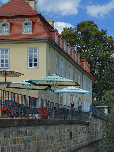 Foto Bärenzwinger