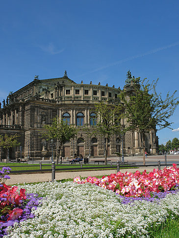 Foto Semperoper mit Blumen