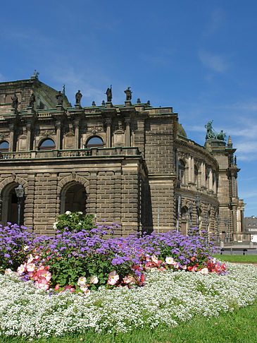 Foto Semperoper mit Blumen - Dresden