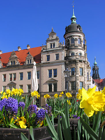 Fotos Schloss | Dresden