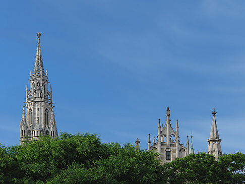 Neues Rathaus Foto 