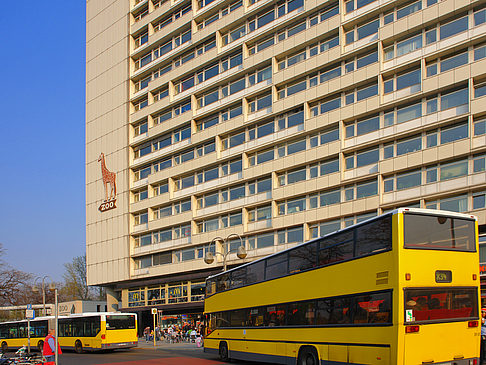 Busse am Bahnhof