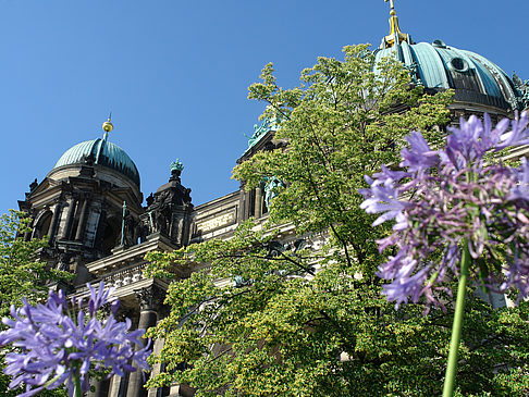 Berliner Dom mit Lustgarten Foto 