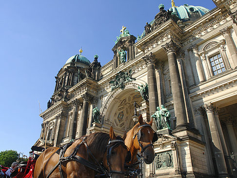 Pferdekutsche vor dem Berliner Dom Fotos