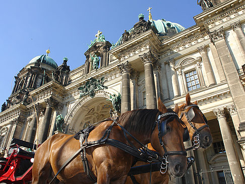 Pferdekutsche vor dem Berliner Dom Fotos