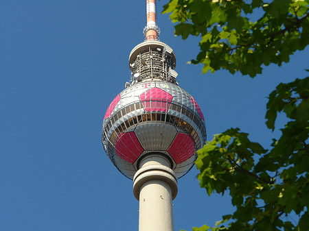 Fernsehturm und Bäume Fotos