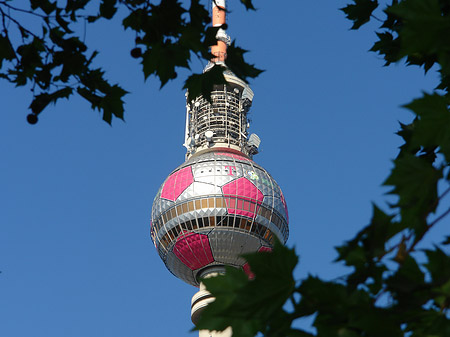 Fernsehturm und Bäume