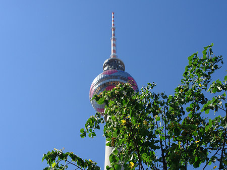 Fotos Fernsehturm und Bäume