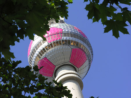 Foto Fernsehturm und Bäume