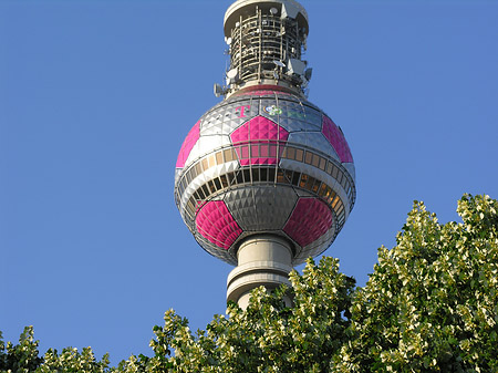 Fotos Fernsehturm und Bäume