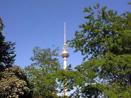 Fernsehturm Foto 