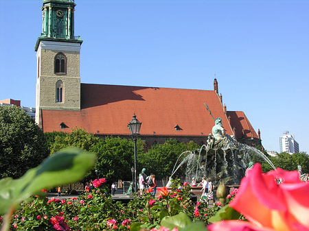 Marienkirche Foto 