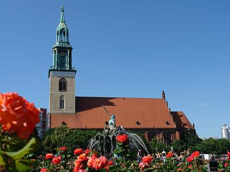 Fotos Neptunbrunnen mit Marienkirche | Berlin