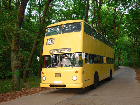 Fotos Bus zur Pfaueninsel | Berlin