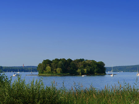 Ufer an der Pfaueninsel