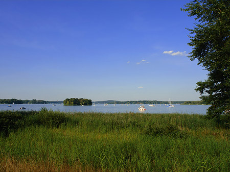 Ufer an der Pfaueninsel Foto 