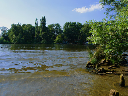 Foto Ufer an der Pfaueninsel