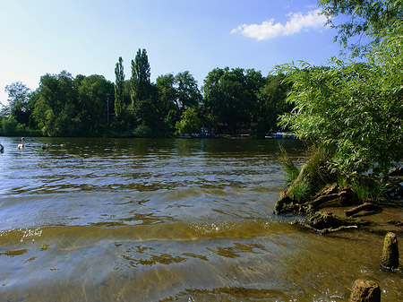 Fotos Ufer an der Pfaueninsel | Berlin