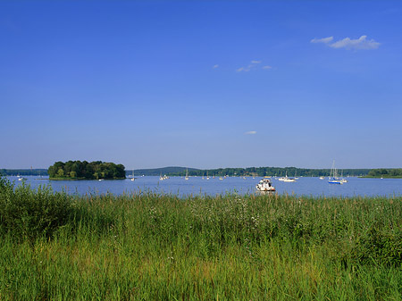 Foto Ufer an der Pfaueninsel - Berlin