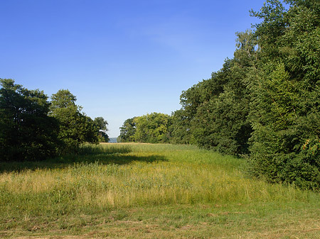 Fotos Wiese auf der Pfaueninsel | Berlin