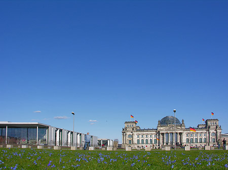 Blumenwiese