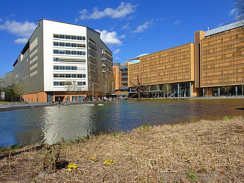 Foto Ökologischer See - Berlin