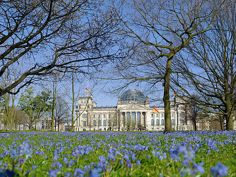 Fotos Blumenwiese am Reichstag