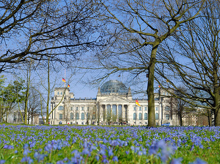 Blumenwiese am Reichstag