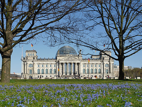 Foto Blumenwiese am Reichstag - Berlin