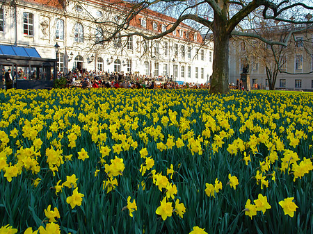 Foto Schinkelklause - Berlin