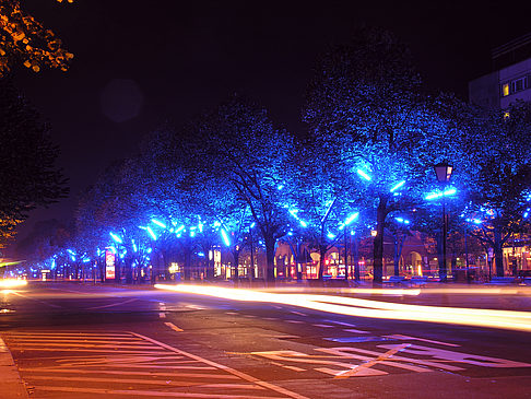 Unter den Linden Foto 