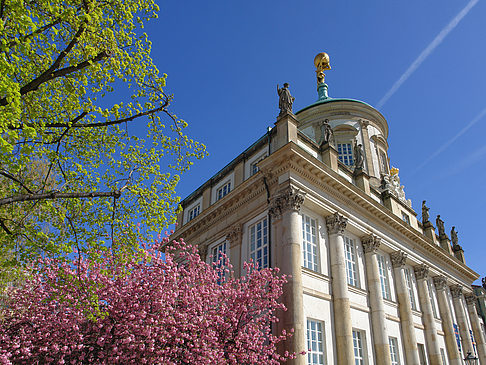 Fotos Altes Rathaus | Potsdam