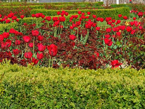 Fotos Bundesgartenschau