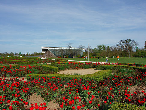 Bundesgartenschau Fotos