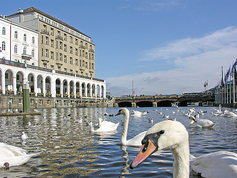 Fotos Alster Arkaden