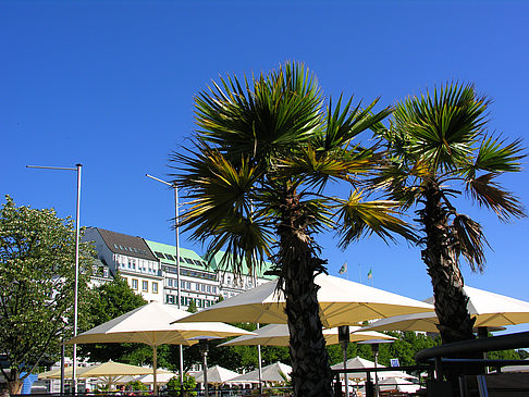 Foto Brunchterrasse auf dem Alster Pavillon - Hamburg