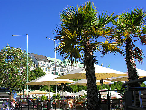 Foto Brunchterrasse auf dem Alster Pavillon