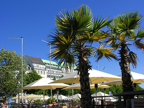 Fotos Alster Pavillon | Hamburg