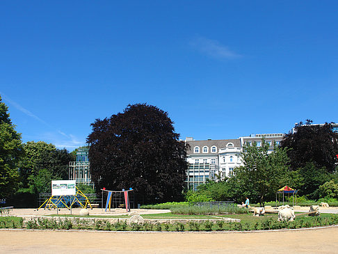 Altonaer Balkon - Liegewiese Foto 