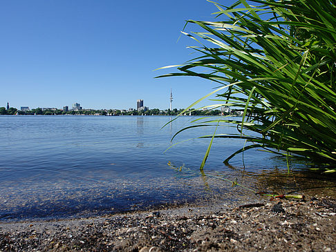 Fotos Badestrand an der Außenalster