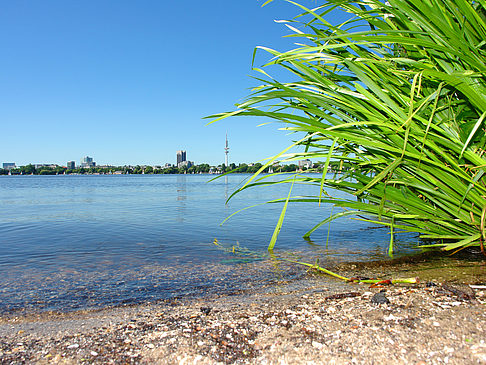 Foto Badestrand an der Außenalster