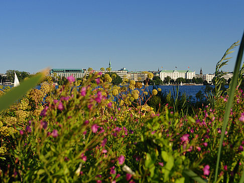 Blick nach Osten von der Außenalster Foto 