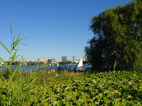 Foto Blick nach Osten von der Außenalster