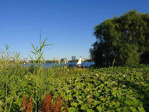 Blick nach Osten von der Außenalster